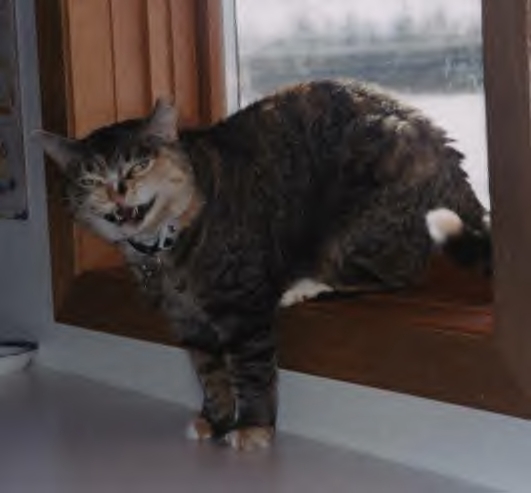Minette's scarey face!
