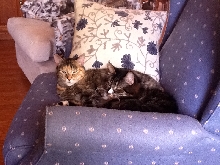 Sylvie and Annie