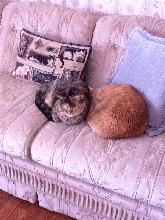 Sylvie and Flame