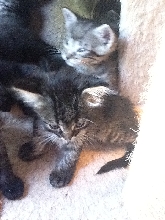Some of the 9