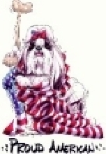 American Shih Tzu