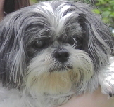 Small Charlee