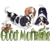 Good Morning pups