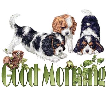 Good Morning pups