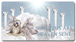 Heaven Sent ST