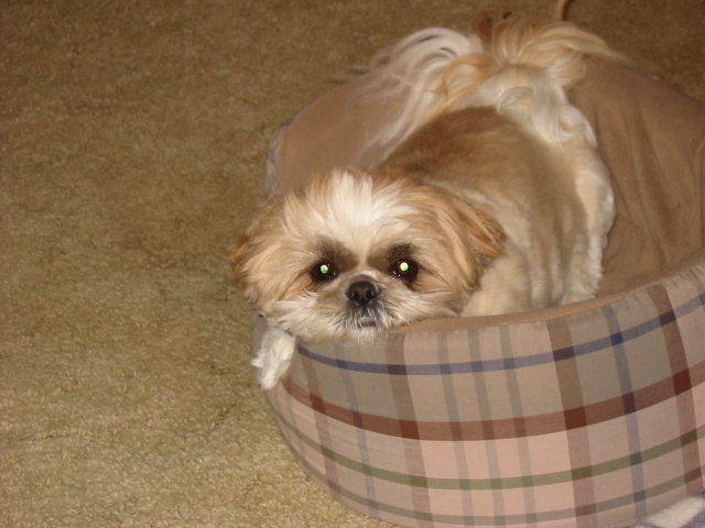 Mom, I'm so bored