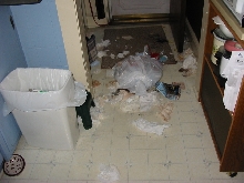 Max's mess 1