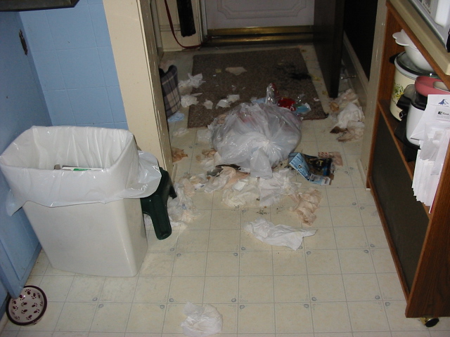 Max's mess 1