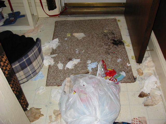 Max's mess 2