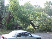 Hurricane Irene Damage