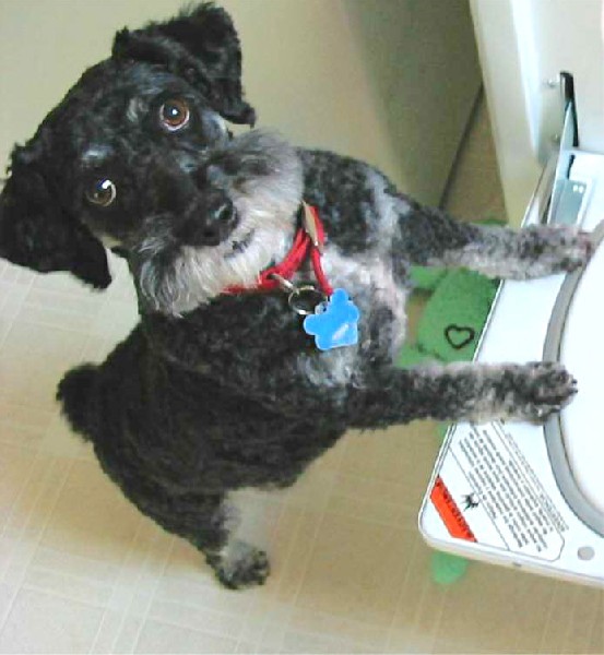 Max at the dryer