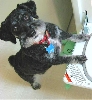 Max at the dryer