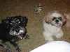 Max & Nicky