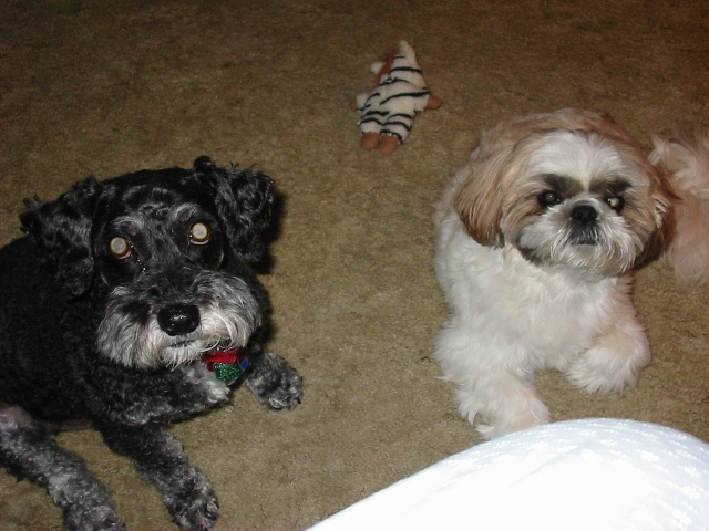 Max & Nicky