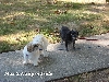 Max & Nicky outside 10-07