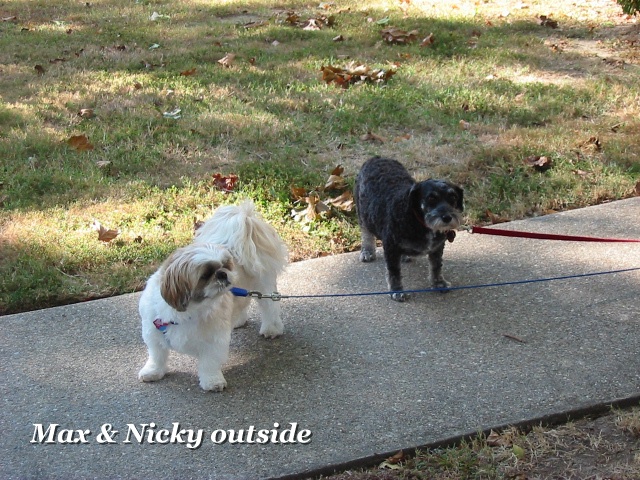 Max & Nicky outside 10-07