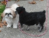 Max & Nicky outside 12-05
