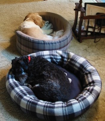 Sleepy Boys 6-08