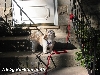 Nicky barking at me