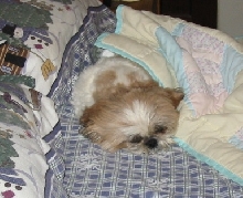 This is him every morning :)