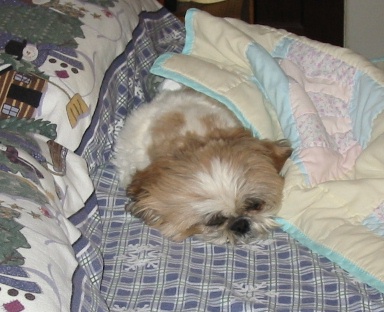 This is him every morning :)