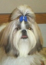 Nicky at 6 months
