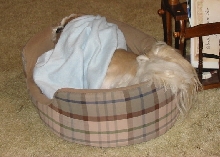Nicky covered up