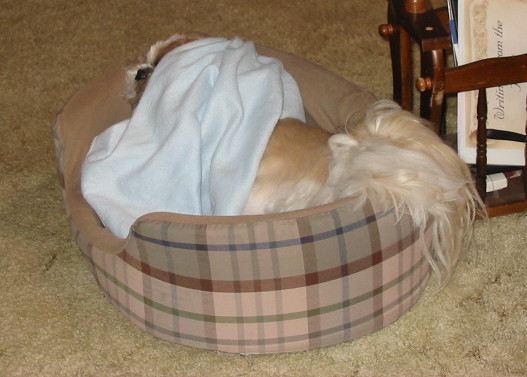 Nicky covered up