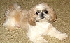 Nicky sitting pretty