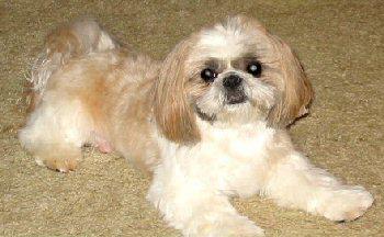 Nicky sitting pretty