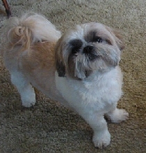 Waiting for a treat!