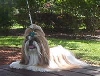 Nicky on picnic table 7-05