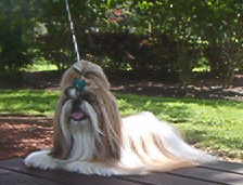 Nicky on picnic table 7-05