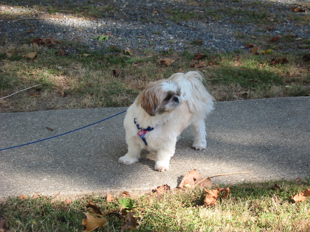 Nicky outside 10-07