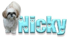Nicky's Tag
