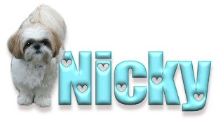 Nicky's Tag