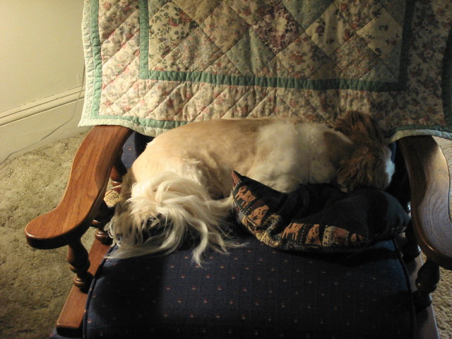 Nicky in his chair