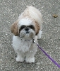 Nicky standing pretty