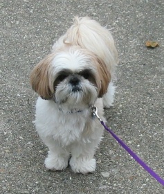 Nicky standing pretty