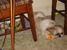 Nicky with Garfield