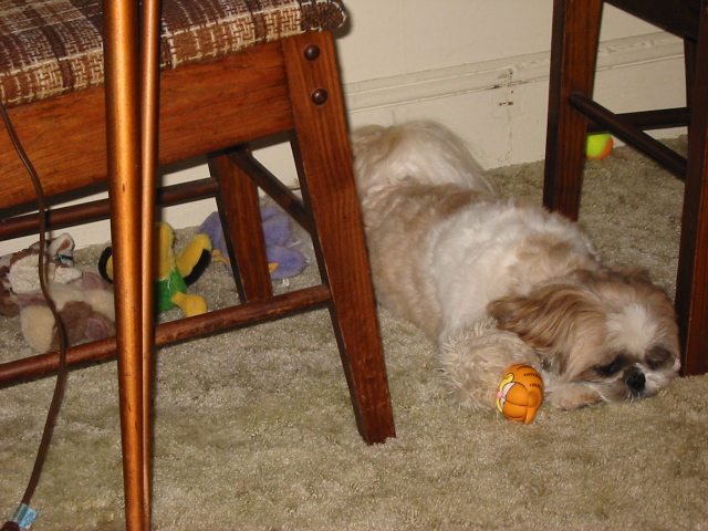 Nicky with Garfield