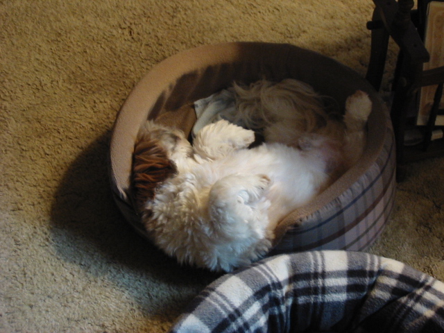 Nicky upsidedown