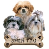 Bone-Shih Tzu