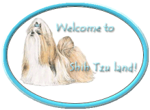 Welcome ST Land