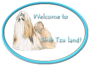 Welcome ST Land