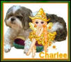 Cackle's Charlee