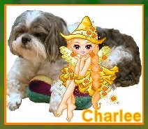 Cackle's Charlee