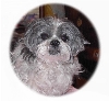 Charlee