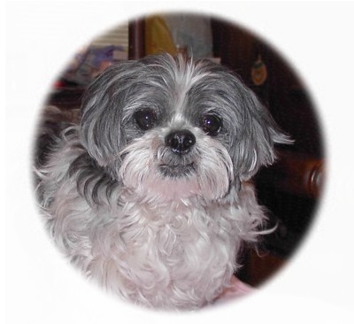 Charlee