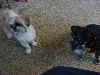 Something caught their attention at the door